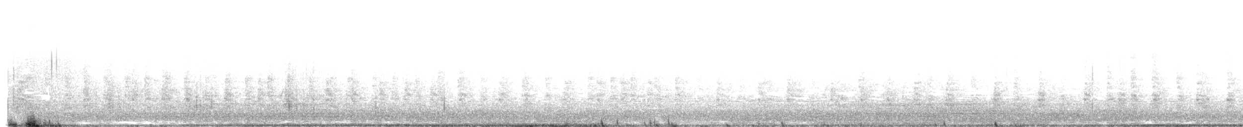 chřástal kalifornský (ssp. obsoletus) - ML625815196