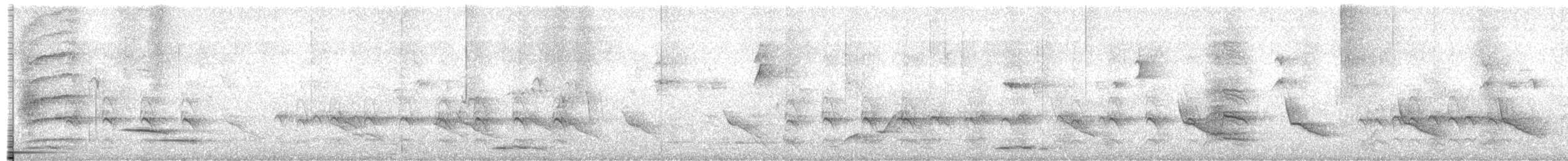 White-winged Chough - ML625819616