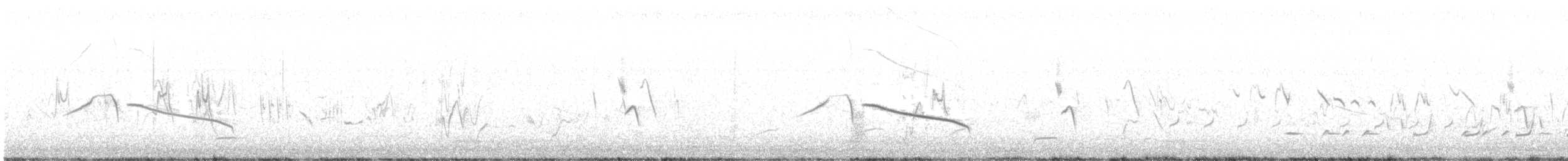 Cape Long-billed Lark (Cape) - ML625819756
