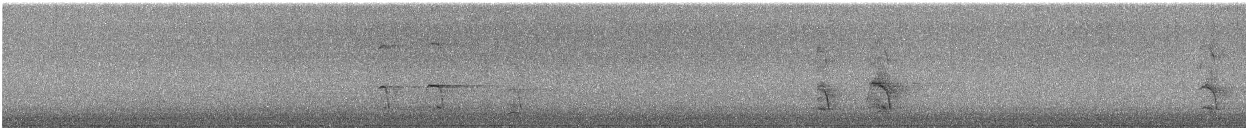 pták sp. - ML625820920