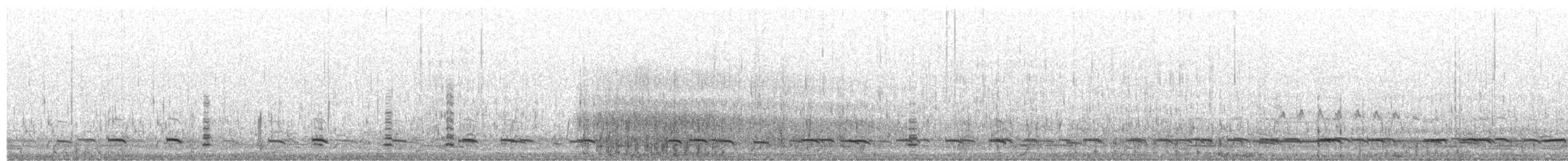 Common Scoter - ML625821574