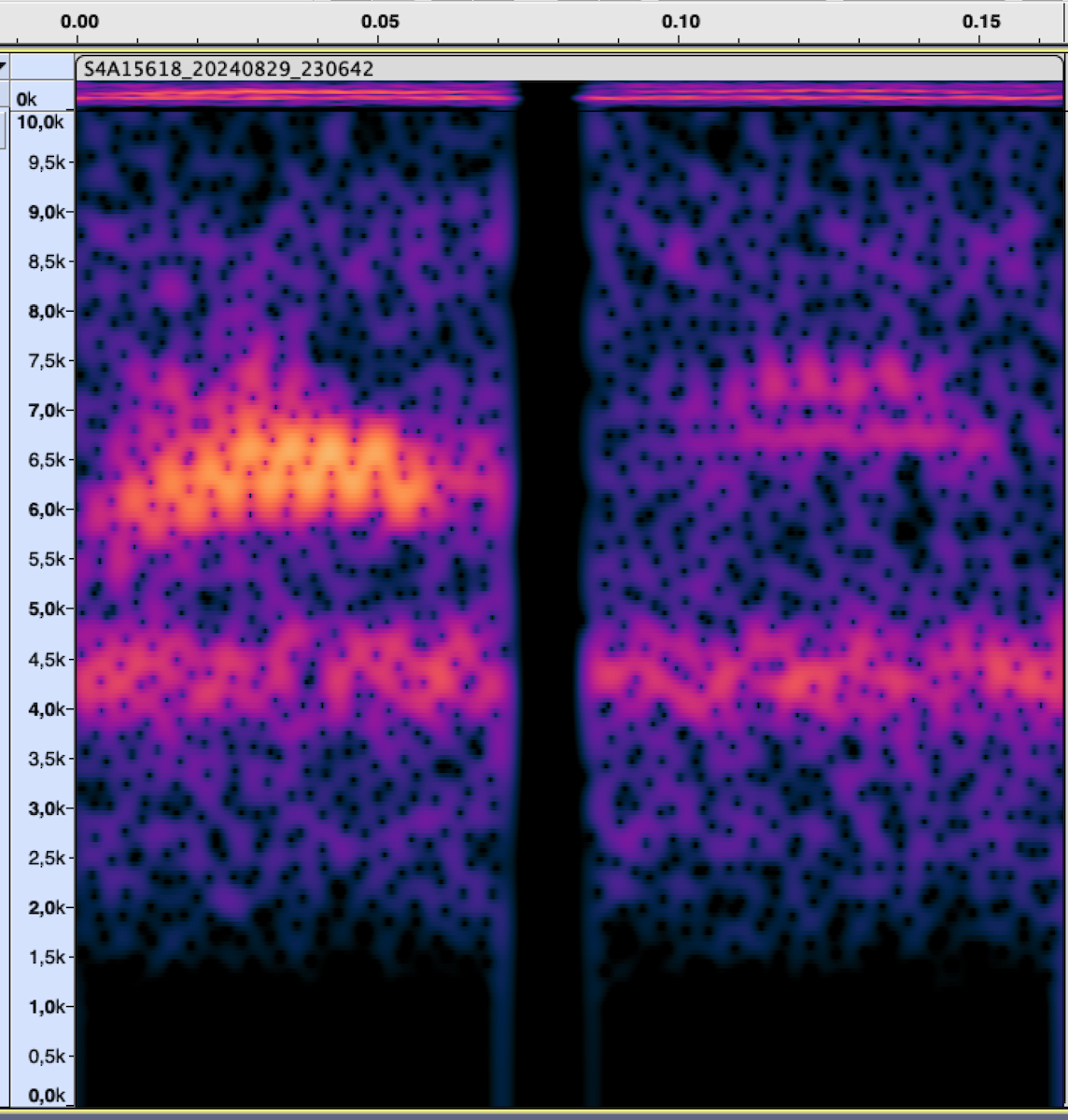 Chestnut-sided Warbler - ML625824566