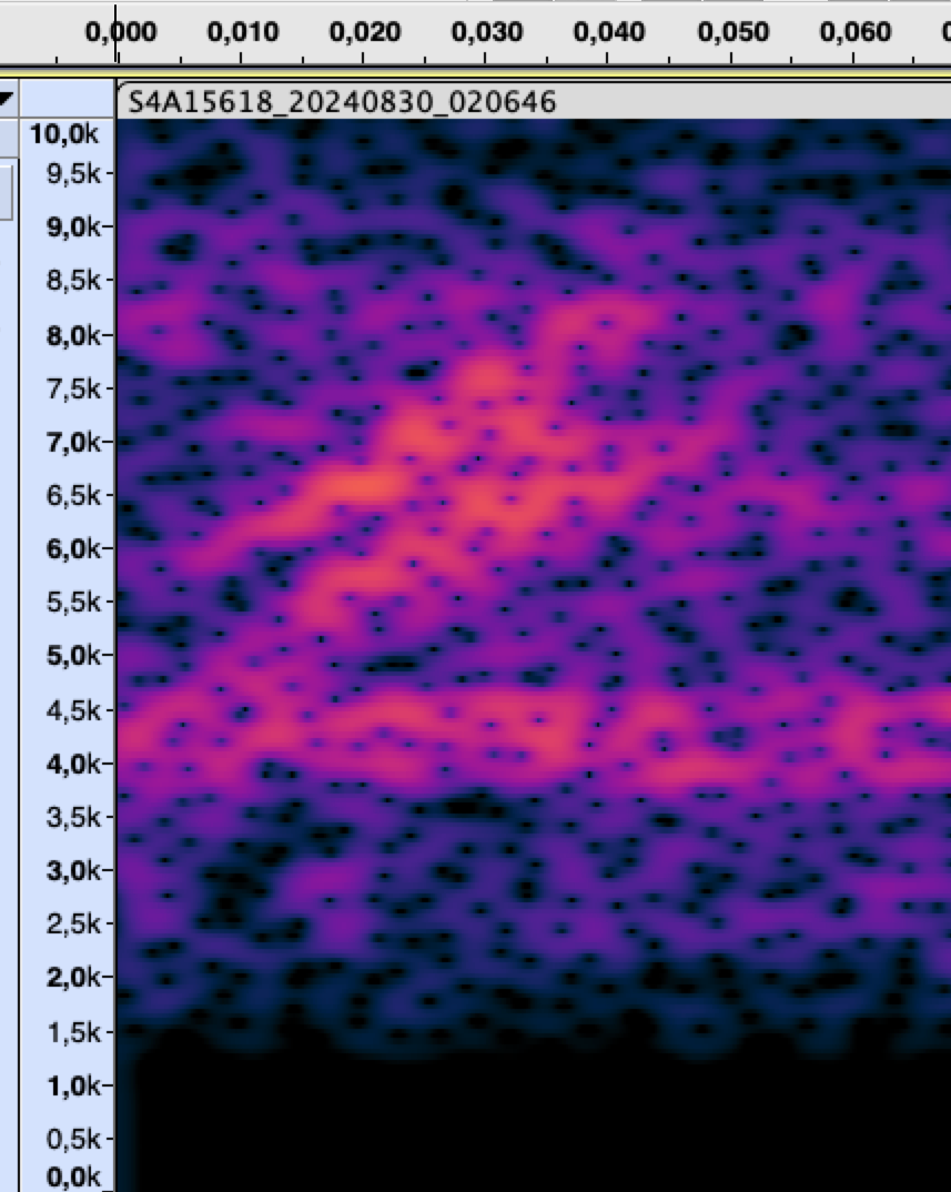 Mourning Warbler - ML625824856