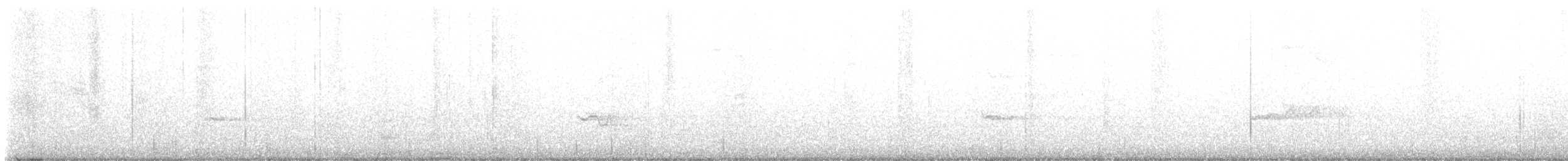 vireo sp. - ML625826727