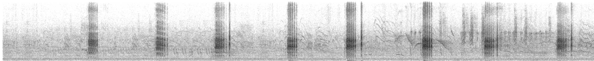 ハジロクロハラアジサシ - ML625827687