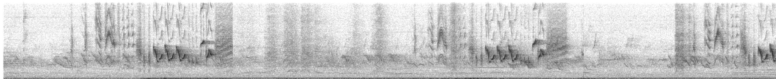 Southern House Wren - ML625828040