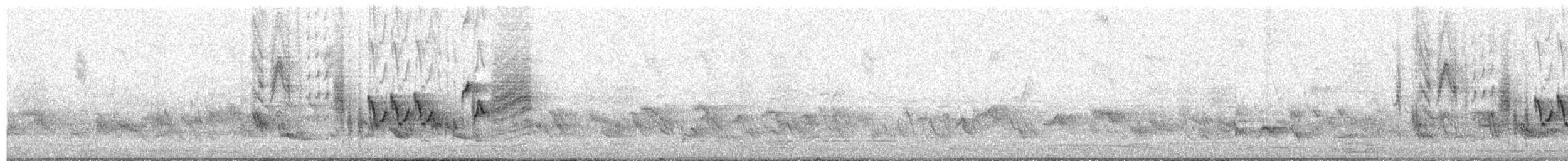 Southern House Wren - ML625828087