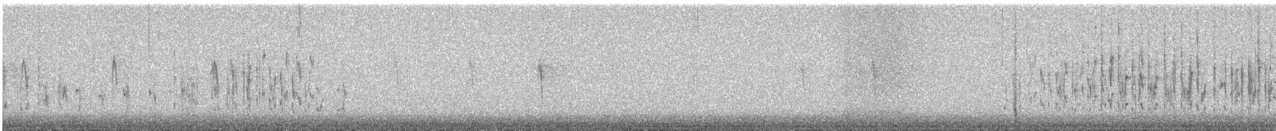 ハシナガヌマミソサザイ - ML625829411