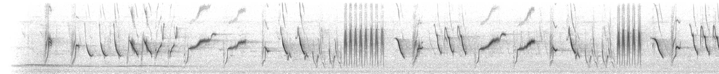 African Pied Wagtail - ML625829682