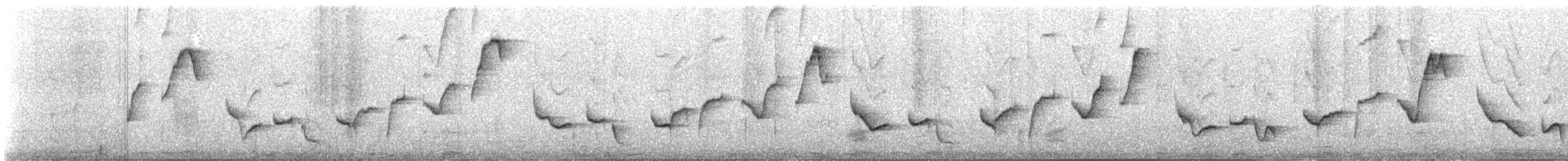 インカマユミソサザイ - ML625848311