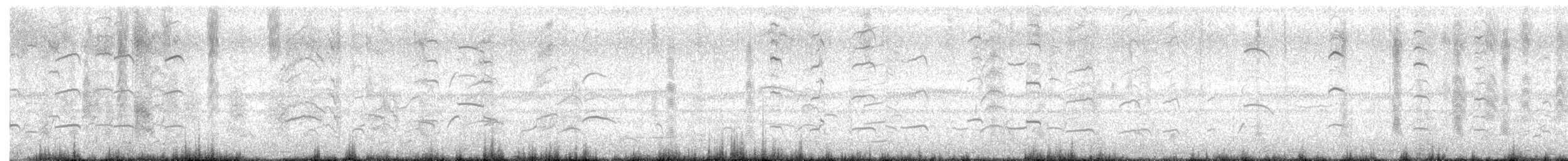 kanadahettemåke - ML625859849