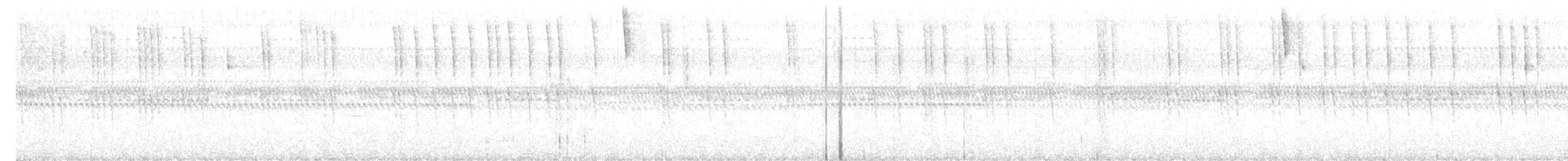 Slender Sheartail - ML625861245