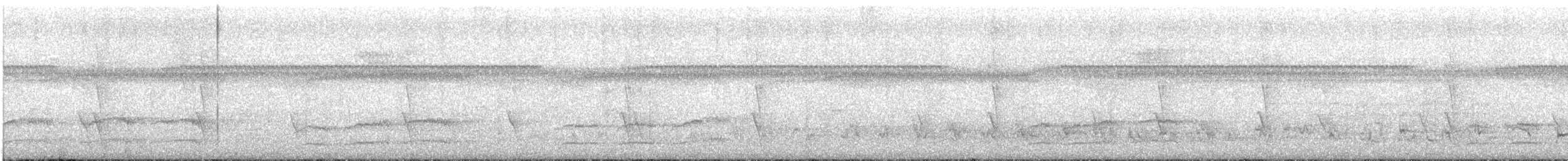 Prionopo Ventrirrojo - ML625863480
