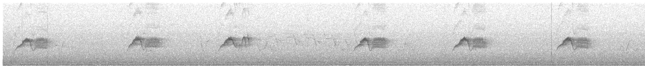 Eastern Phoebe - ML62586681