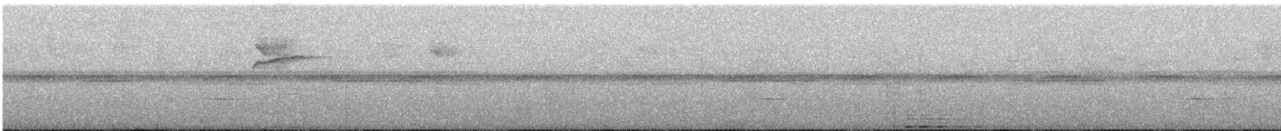 クロスジオオガシラ - ML625870241