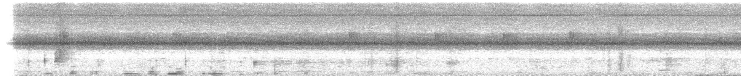 Пласкодзьоб західний - ML625877476