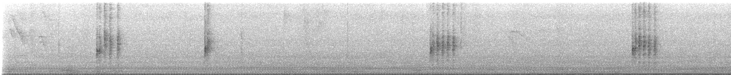 Bay Wren - ML625879340
