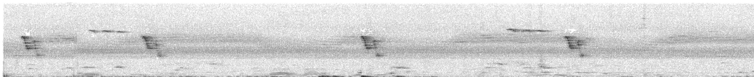 チャエリカンムリチメドリ - ML625881223