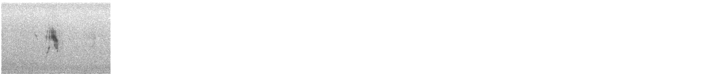 gulerle (cinereocapilla gr.) - ML625888171