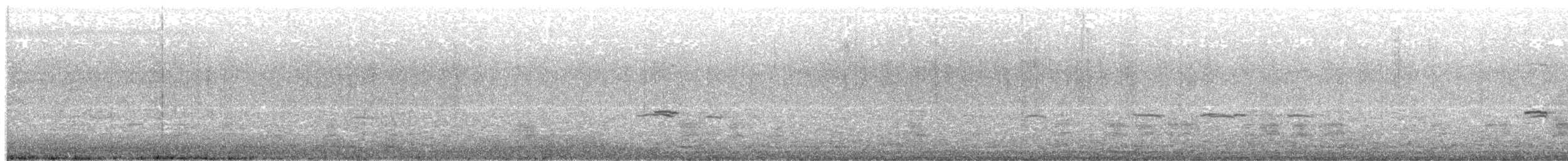 Canard chipeau - ML625894941