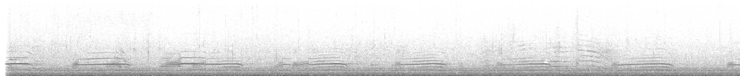 American Herring Gull - ML625897610