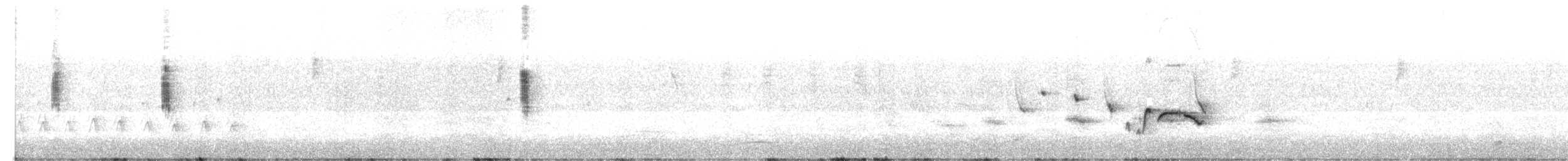 Stutzschnabel - ML625899642