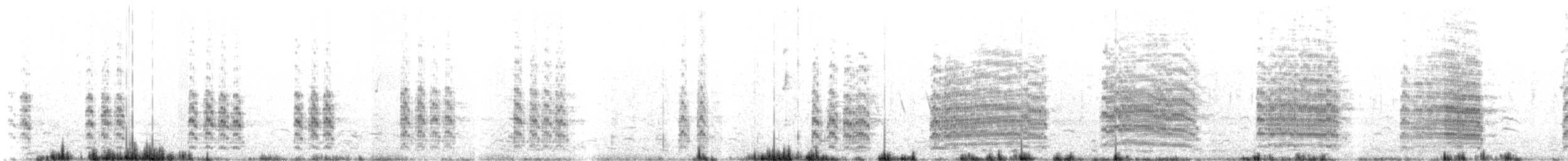 Brown-hooded Gull - ML625900990