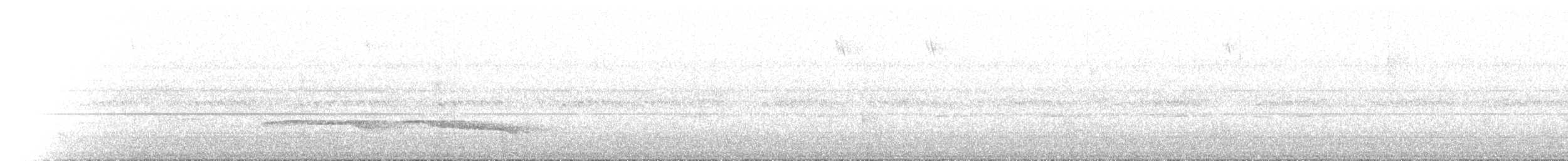Montane Nightjar - ML625908945