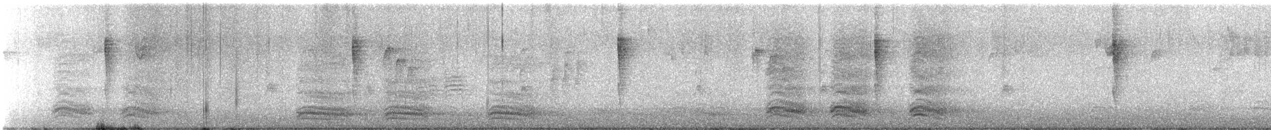 Pacific Wren - ML625911784