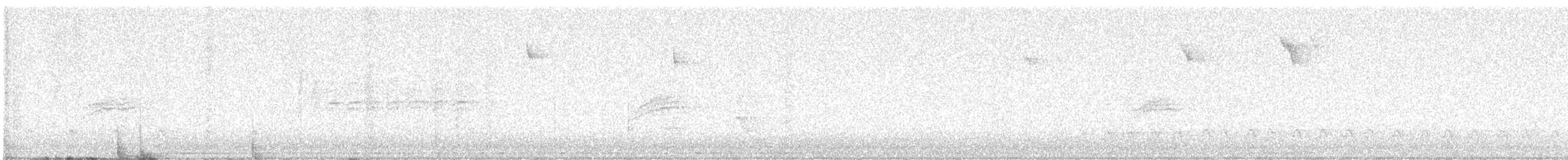 Hermit Thrush - ML625912669