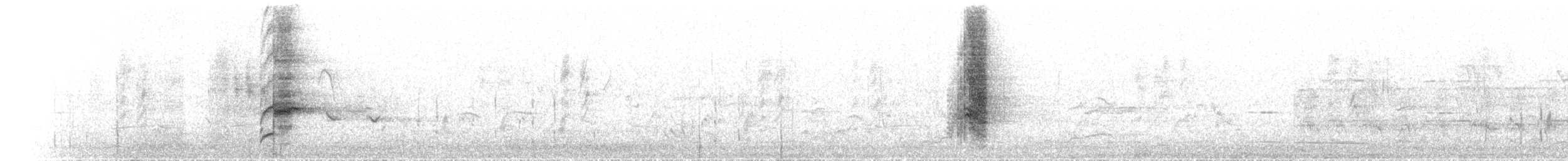 papoušek oranžovoprsý - ML625923877