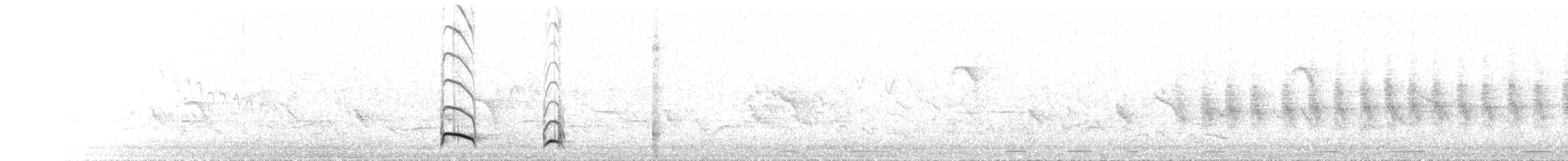キバシカマハシ - ML625923914