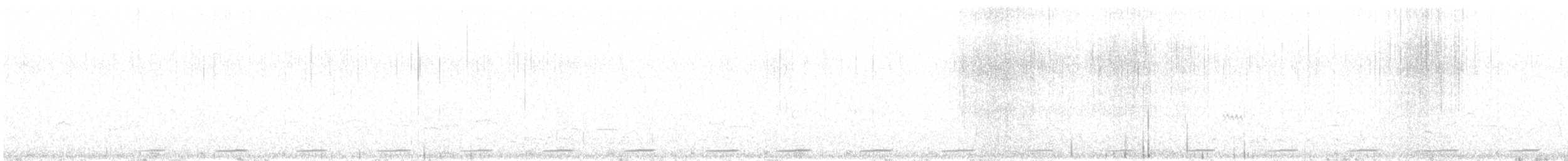 Graubrust-Höhenläufer - ML625927531