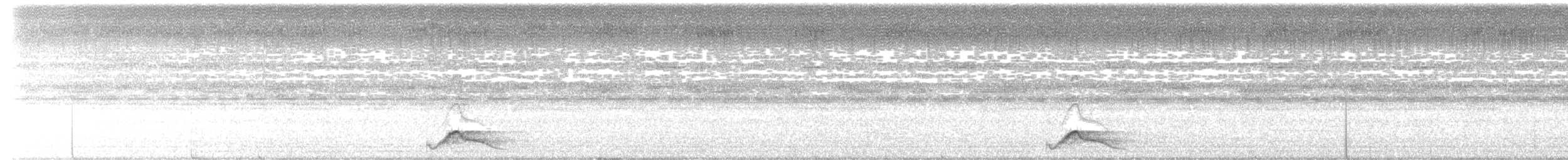 Common Pauraque - ML625928954