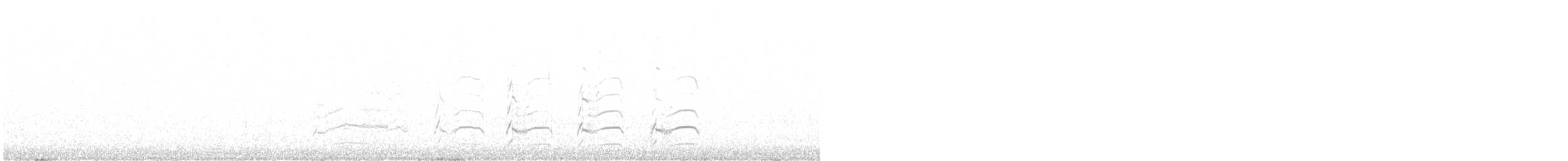 White-tailed Hawk - ML625929768