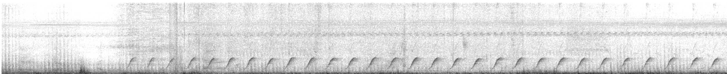 Black-capped Donacobius - ML625932555