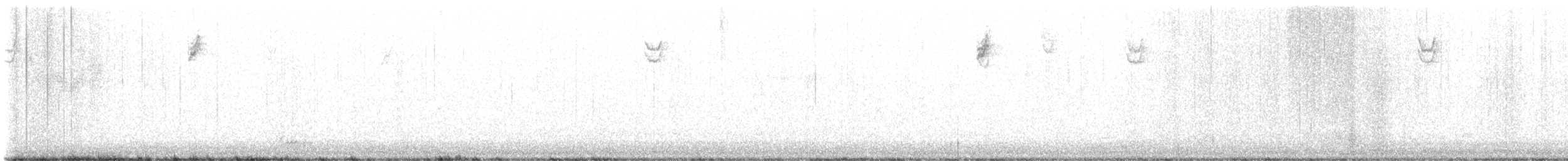 White-crowned Sparrow (Gambel's) - ML625938708