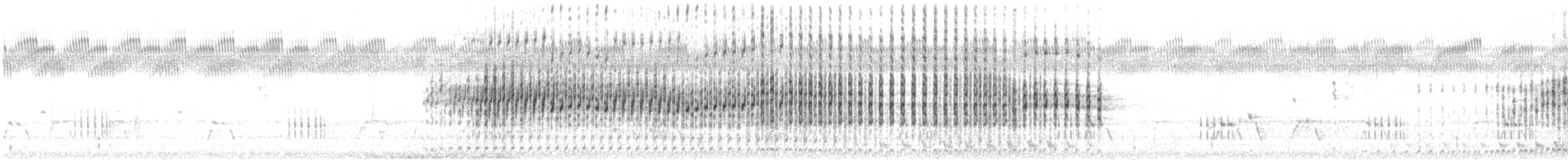 oseaniadykker - ML625939630