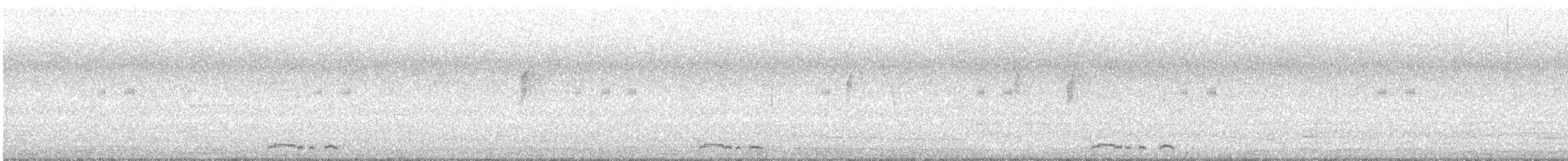 Zebra Dove - ML625940315