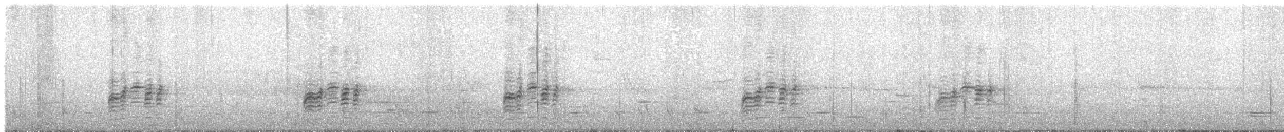 Perruche de Malherbe - ML625940466