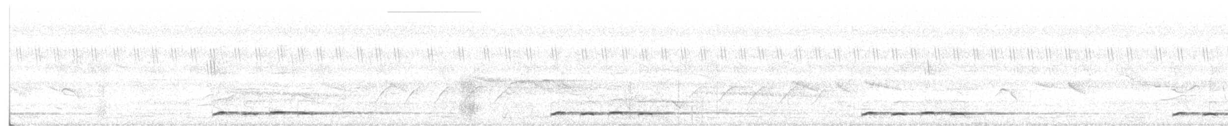 Зозуля короткокрила - ML62594101
