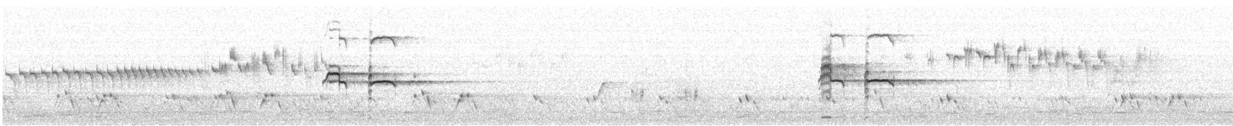 australdvergdykker - ML625943000