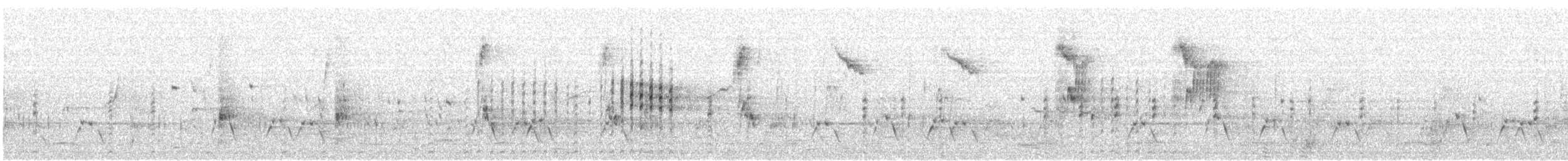 oseaniadykker - ML625943104