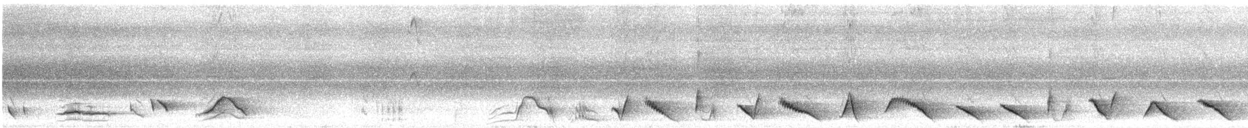 lyrochvost nádherný - ML625943594