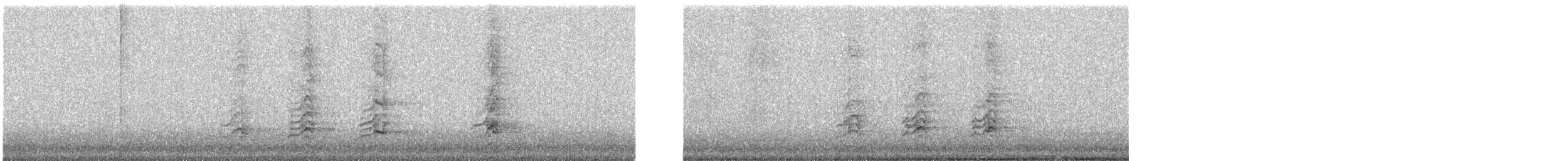 Allocco - ML625948440