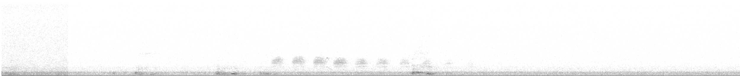 kachna divoká - ML625948621