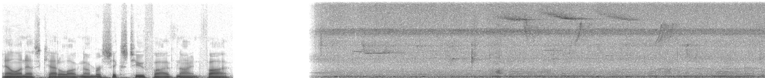 Black-tailed Tityra (Western) - ML62595