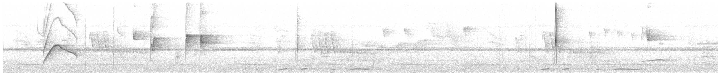 Moucherolle à longs brins - ML625957274