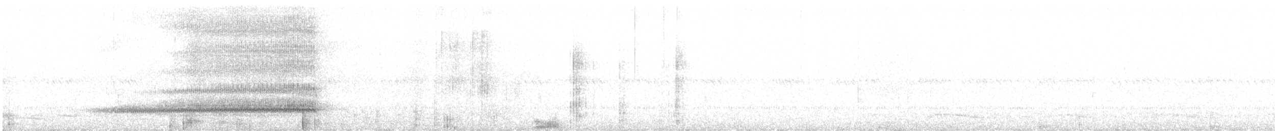 Western Barn Owl (African) - ML625957682