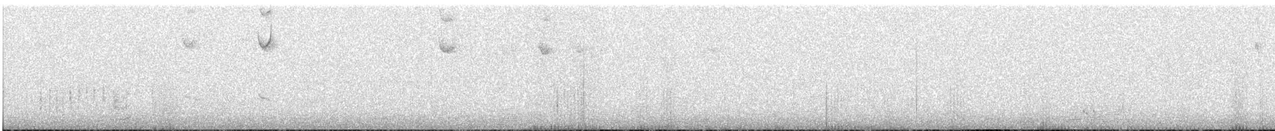 ヒカリワタアシハチドリ - ML625965442